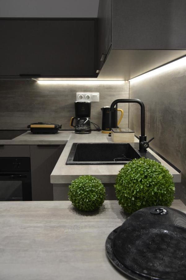 The Apartment 特里卡拉 外观 照片